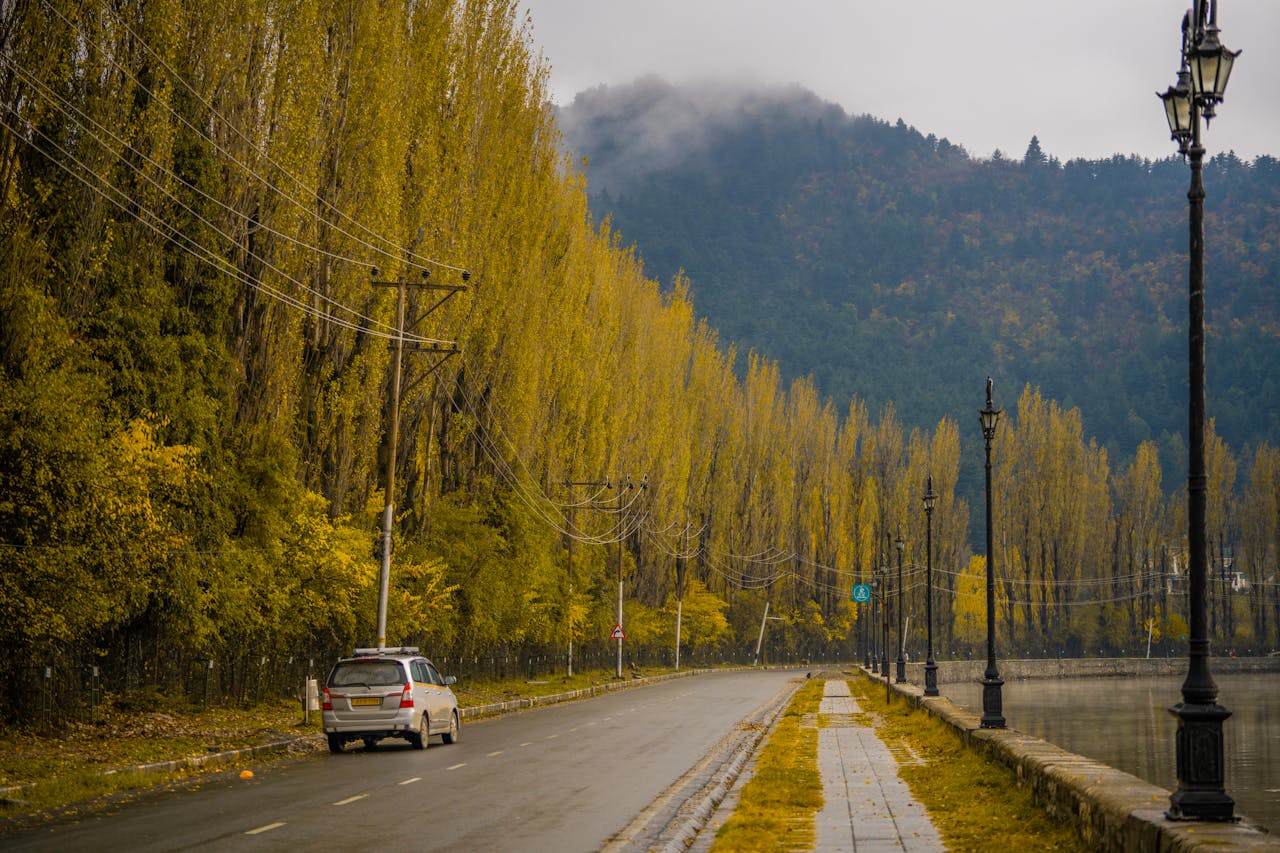 Scenic Drives